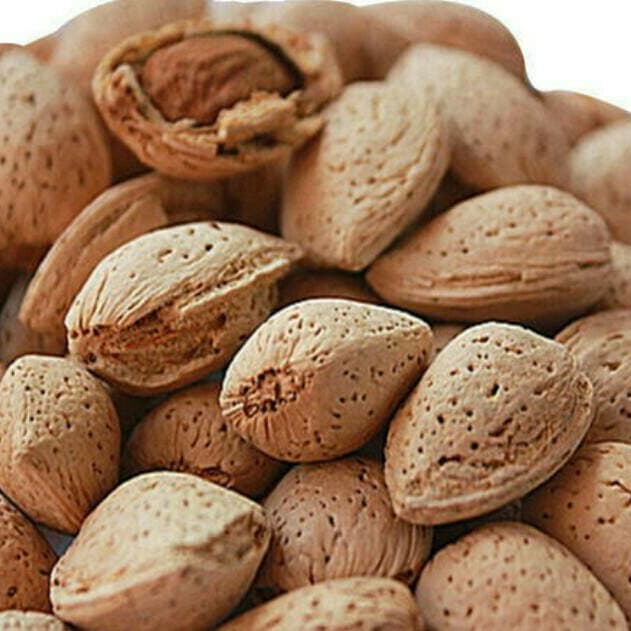 Gola Kaghazi Salum 500 Grams