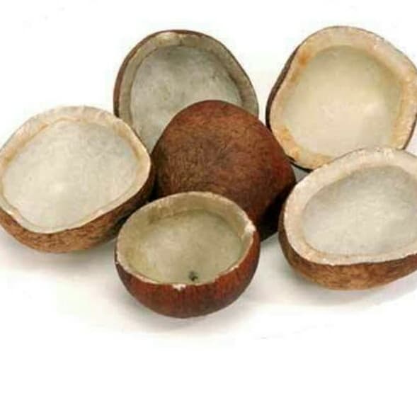Coconut Whole 250 Grams