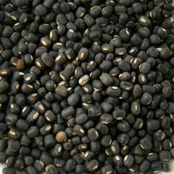 Maash Salum 500 Grams